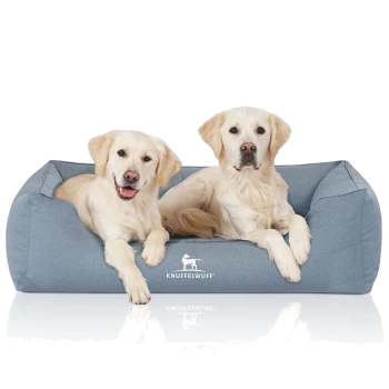 Zwei Golden-Retriever-Welpen, die zusammen auf einem weichen blauen Hundebett ruhen, mit dem Markennamen 'KNUFFELWUFF' deutlich sichtbar.