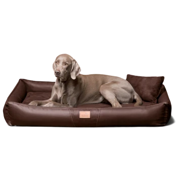 Ein großer grauer Hund, der auf einem plüschigen braunen Hundebett mit einem weichen Kissen ruht, mit einem lederähnlichen Äußeren und einem kleinen Etikett.