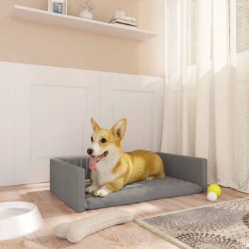 Ein entspannter Corgi liegt auf einem grauen Hundebett in einem gemütlichen Raum mit Holzboden, einer weißen Schüssel, einem Kauspielzeug und bunten Bällen in der Nähe.