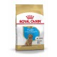 Royal Canin Welpenfutter für Pudel, geeignet für Welpen bis zu 10 Monaten, mit einem Bild eines lockigen Welpen.