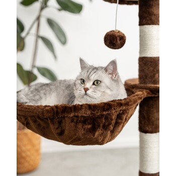 Eine silberne getigerte Katze, die in einer gemütlichen braunen Hängematte an einem Katzenbaum entspannt, mit einem hängenden Spielzeug darüber.
