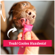 Nahaufnahme eines braunen Hundes, der einen rosa Haustier-Leckerli-Behälter mit der Aufschrift "Yeah! Cooles Hundeis!" hält, der von einer Person gehalten wird.