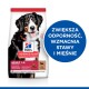 Torba z karmą dla psów Hill's Science Plan z Bernenskim Psem Górskim, z tekstem podkreślającym korzyści dla odporności i stawów.