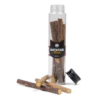 Matatabi-Stäbe in einem klaren Behälter, mit 8 natürlichen Stäben für Haustiere, mit einem schwarzen Deckel und einem Etikett, das "Matatabi Sticks" anzeigt.