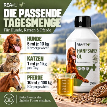 Ein neugieriger brauner Hund mit einer weißen Schnauze schaut durch üppige grüne Farne, wobei seine ausdrucksvollen Augen und verspielte Art zur Geltung kommen.