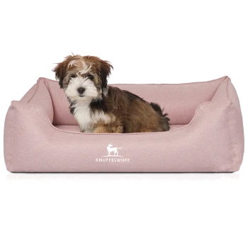 Flauschiger braun-weißer Welpe sitzt in einem rosa Hundebett mit KNUFFELWUFF-Logo.