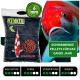 Ein Beutel KENKOU Koi-Futter, beschriftet mit "Koi-Color" mit 6 mm Pellets und einer roten und weißen Koi-Illustration.
