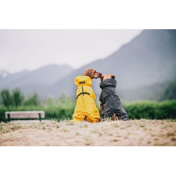 Zwei Hunde in leuchtend gelben und dunkelgrauen Regenmänteln, die sich in einer malerischen Freiluftumgebung mit Bergen im Hintergrund gegenüberstehen.