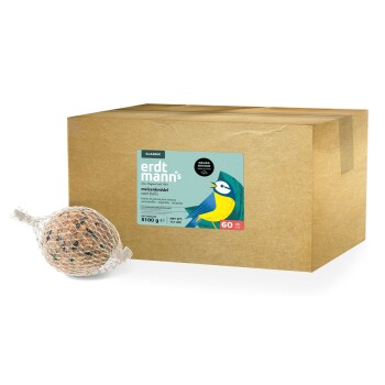 Schachtel mit Erdtmanns Classic Fettknödeln für Vögel, 5100g, 60 Stück, mit blau-gelber Vogelillustration auf dem Etikett.