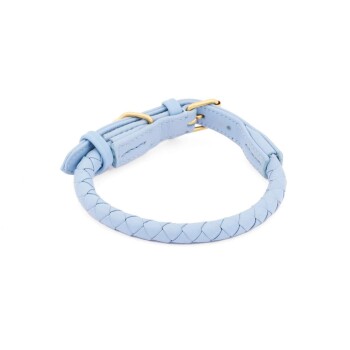 Hellblaues geflochtenes Leder-Haustierhalsband mit goldenen Beschlägen, mit einer Schnalle und verstellbarem Riemen.