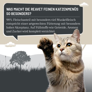 Katze hebt die Pfote mit Text über Reavet feine Katzenmenüs, die 98 % Fleisch enthalten, keine Füllstoffe wie Getreide, Aromen oder Zucker.