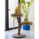 Eine orangefarbene getigerte Katze sitzt auf einem plüschigen, mit Fell gefütterten Katzenbaum mit zwei Plattformen, aus natürlichem Holz, neben einer grünen Pflanze.