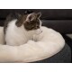 Eine Nahaufnahme einer getigerten und weißen Katze, die in einem plüschigen, runden Haustierbett mit einem weichen, cremefarbenen Innenraum sitzt.