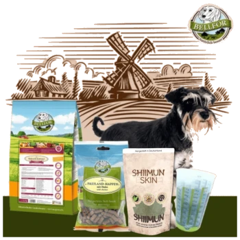 Ein Schnauzer steht neben Bellfor Haustierfutterprodukten, einschließlich Trockenfutter, Snacks und einem "SHIIMUN SKIN" Beutel, mit einer Windmühlenkulisse.