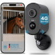 Kabellose 4G-Tierkamera zeigt Live-Pferdefutter auf dem Telefonbildschirm mit dem Text „DSGVO Konform Sichere Datenspeicherung in Deutschland.“