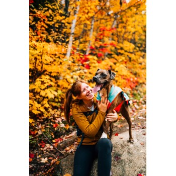 Eine Frau in einer braunen Jacke sitzt auf einem Felsen und lächelt ihren glücklichen Hund in einem bunten Geschirr zwischen lebhaften Herbstlaub an.