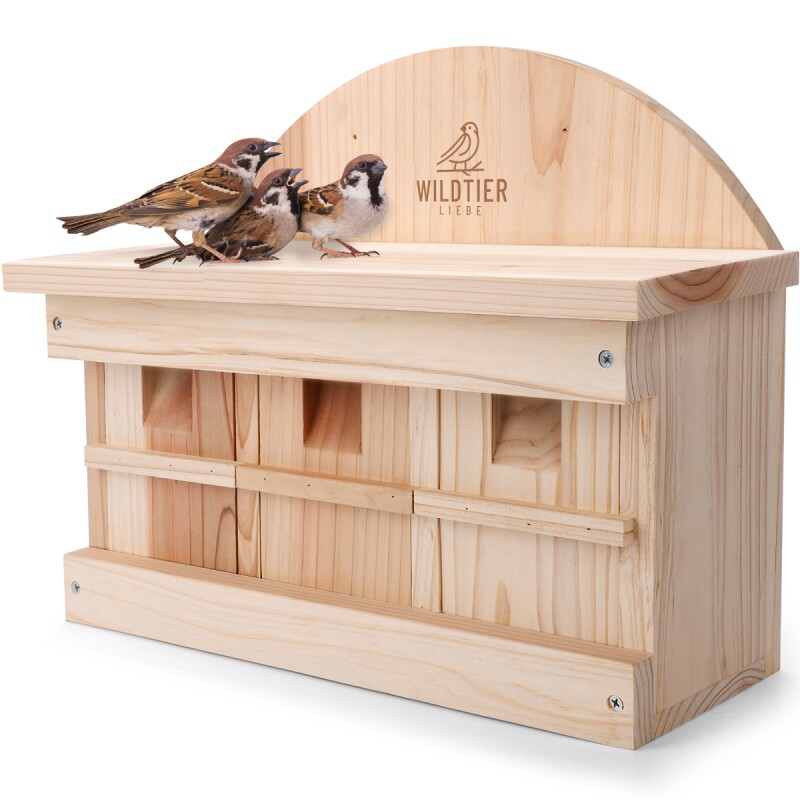 Wildtier Liebe Spatzen Nistkasten