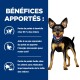 Chien avec un collier bleu, accompagné d'un texte sur les avantages de la perte de poids chez les chiens : succès à domicile, soutien énergétique et perte de poids facile sans grandes réductions alimentaires.