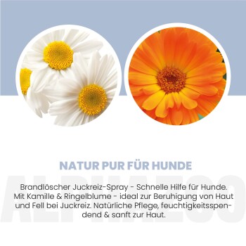 Eine Bewertung von Nadine M. über ein Anti-Juckreiz-Spray für Hunde, bewertet mit 4,8 von 5 Sternen bei 7.191 Bewertungen.