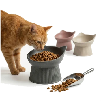Rote Katze schnuppert an einer erhöhten grauen ohrförmigen Schüssel mit Trockenfutter; Metallschaufel mit verschüttetem Futter und zwei Schüsseln im Hintergrund.