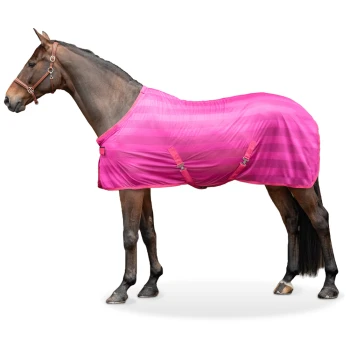 Ein braunes Pferd, das eine leuchtend pink gestreifte Decke mit zwei Schnallen trägt, vor einem weißen Hintergrund stehend.