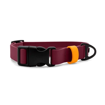 Bordeauxrotes Hundehalsband mit schwarzer Schnellverschluss-Schnalle, D-Ring und orangefarbener Silikon-Sicherung vor weißem Hintergrund.