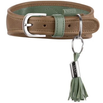 Braunes Lederhalsband für Hunde mit grüner Einfassung, silberner Schnalle und O-Ring, grünem Quastenanhänger und Metallplakette mit der Aufschrift 'HUNTER'.
