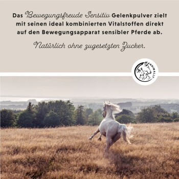 Ein galoppierendes weißes Pferd auf einer grasbewachsenen Fläche mit Bäumen und einem See. Text: "Das Bewegungsfreude Gelenkpulver unterstützt sensible Pferde."