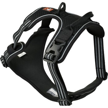 harness Pathfinder black S
