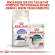 Royal Canin Verpackung, die Regular Sterilised 7+ Trockenfutter und Instinctive 7+ Nassfutter zeigt, mit deutschem Text zur täglichen Fütterung.