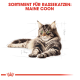 Illustration einer Maine Coon Katze, die sich entspannt, mit dem Text "SORTIMENT FÜR RASSEKATZEN: MAINE COON" darüber.