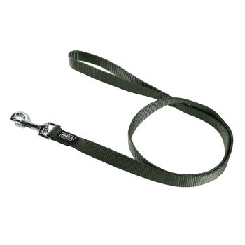 Een groene nylon hondenriem met een metalen clip, plat gelegd tegen een witte achtergrond.