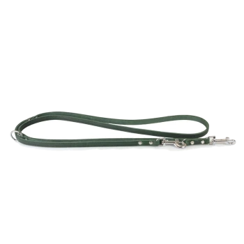 Green leather dog leash with silver metal clip and decorative studs, laid flat on a white background.