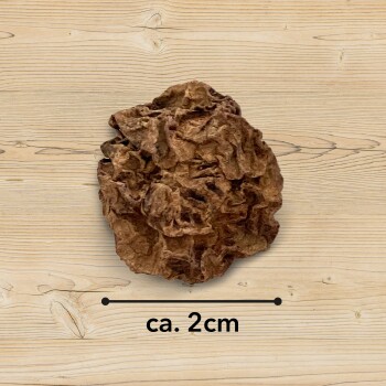 Ein texturiertes, braunes Haustierleckerlis, das einem kleinen Stein ähnelt, etwa 2 cm groß, auf einem Holzuntergrund präsentiert.