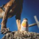 Der Pfote eines Hundes ist über einer Flasche mit der Aufschrift "Immunio Smoothiedus" zu sehen, mit Text über einen immunstärkenden Snack für Hunde.