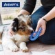 Une personne caresse un chiot Australian Shepherd curieux qui regarde un jouet bleu, avec le logo ADAPTIL dans le coin supérieur gauche.