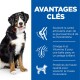 Un chien de montagne bernois souriant est assis à côté d'un panneau bleu mettant en avant les avantages : soutien articulaire, peau saine et masse musculaire.