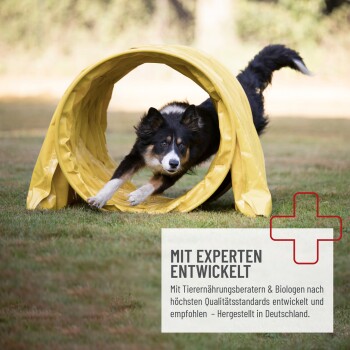 Etikett für REAVET Harnstark, ein Nahrungsergänzungsmittel für Hunde, mit einem lächelnden Hund, Produktdetails und Nährwertinformationen auf Deutsch.