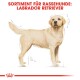 Labrador Retriever Adult 2x12 kg