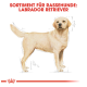 Illustration eines Labrador Retrievers mit einem hellgelben Fell, beschriftet mit "SORTIMENT FÜR RASSEHUNDE: LABRADOR RETRIEVER" oben.