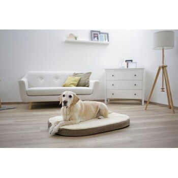 Ein entspannter gelber Labrador Retriever liegt auf einem gemütlichen Hundebett in einem modernen Wohnzimmer mit einem hellen Sofa und einer Holzlampe.