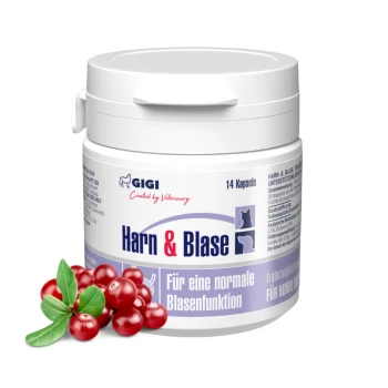 Behälter mit "Harn & Blase" Haustierkapseln (14) mit Cranberries und grünen Blättern. Text: "Für eine normale Blasenfunktion."