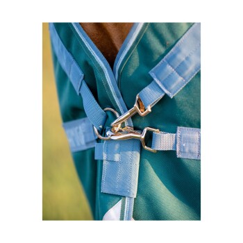 Nahaufnahme einer türkisfarbenen Pferde-Decke mit blauen Riemen und einem goldenen Clipverschluss, die strapazierfähigen Stoff und sicheren Verschluss zeigt.