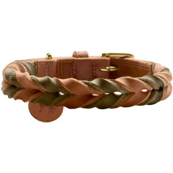 Halsband Solid Education Duo cognac 40 cm Geflochtenes Lederhalsband für Hunde in erdigen Brauntönen und Grün, mit einer goldenen Schnalle und einem runden Lederanhänger mit der Silhouette eines Hundes.