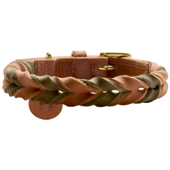 Geflochtenes Lederhalsband für Hunde in erdigen Brauntönen und Grün, mit einer goldenen Schnalle und einem runden Lederanhänger mit der Silhouette eines Hundes.