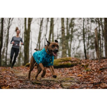 Ein verspielter Hund in einer blauen Camouflage-Jacke läuft durch ein bewaldetes Gebiet, das mit gefallenen Blättern bedeckt ist, während im Hintergrund eine Person joggt.