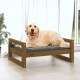 Ein glücklicher Golden Retriever, der auf einem hölzernen Haustierbett mit einem grauen Kissen liegt, in einem hellen Raum mit weißen Vorhängen und einer Pflanze.