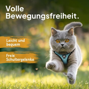 Eine graue Katze mit orangefarbenen Augen in einem blauen Geschirr läuft durch grünes Gras, mit Text über Bewegungsfreiheit und Komfort.
