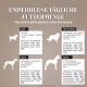 Infografik, die die empfohlenen täglichen Futtermengen für aktive erwachsene und junge Hunde zeigt, kategorisiert nach Größe: kleine, mittlere, große und riesige Rassen.