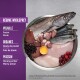 Un bol en métal contient du poisson cru, des organes de poulet et de dinde, des baies et un jaune d'œuf, étiqueté "Régime Wholeprey", "Volaille", "Organes", "Poisson".